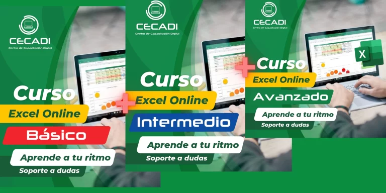 Excel Basico-Avanzado Online